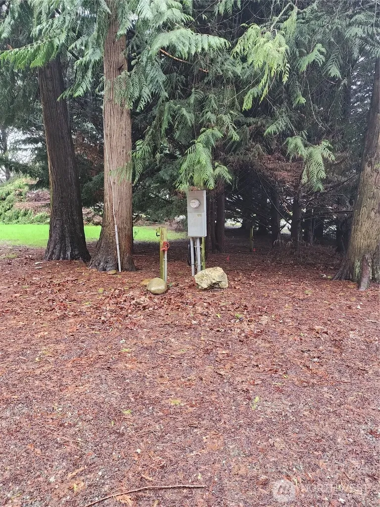 10115 226th Avenue Ct E Buckley WA 98321
