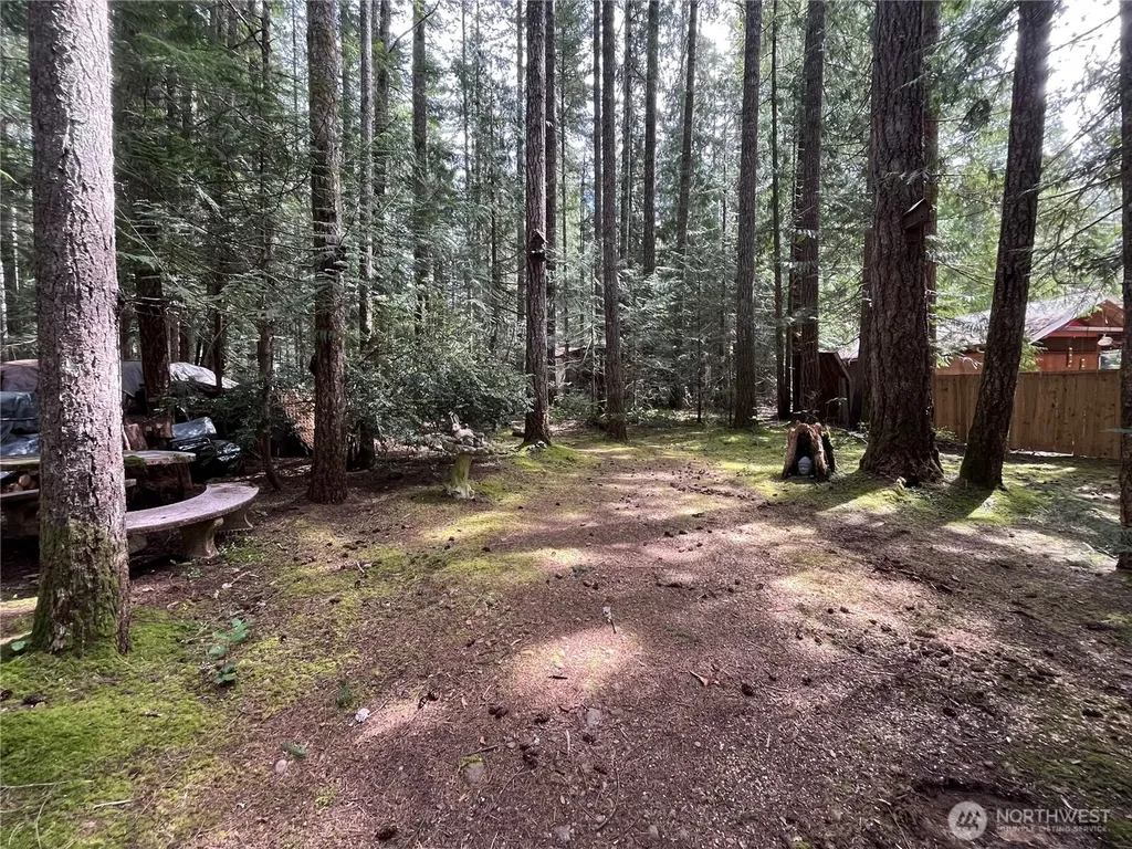 170 N Mount Washington Drive Hoodsport WA 98548