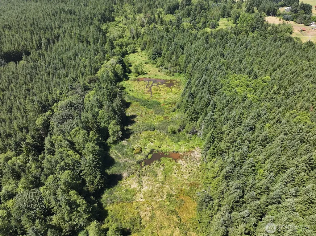 0 Sr 508 Onalaska WA 98570