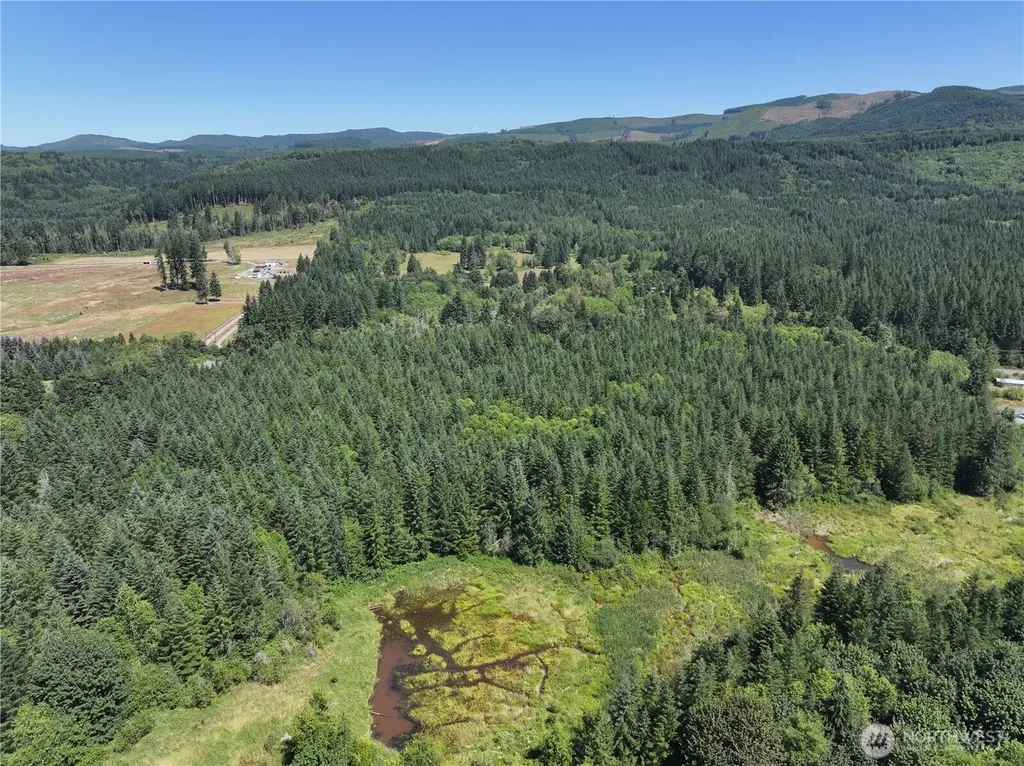0 Sr 508 Onalaska WA 98570