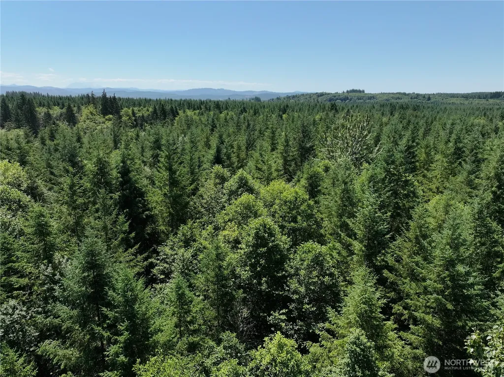 0 Sr 508 Onalaska WA 98570