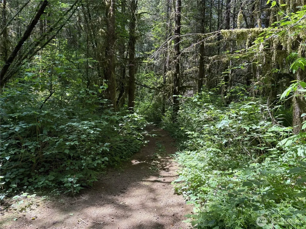 0 Sr 508 Onalaska WA 98570