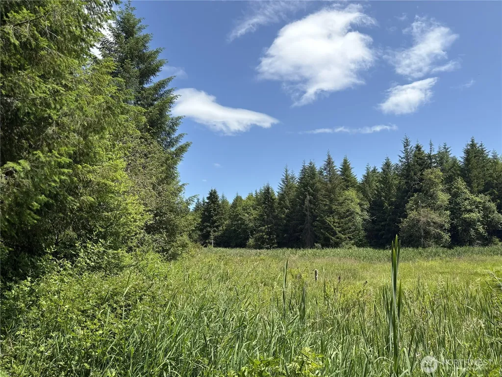 0 Sr 508 Onalaska WA 98570