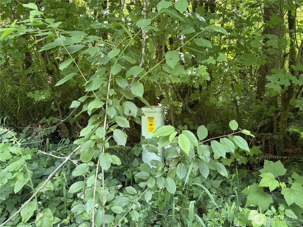0 Sr 508 Onalaska WA 98570