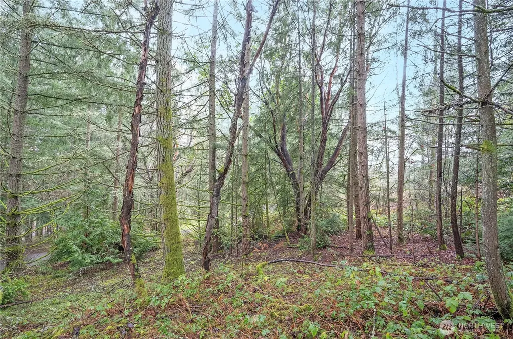 9806 Sari Lane Gig Harbor WA 98332