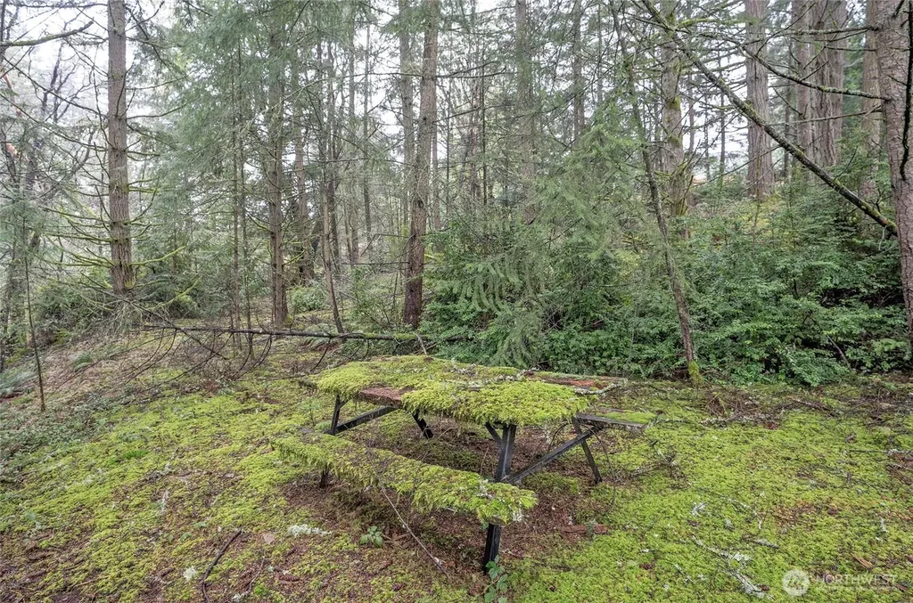 9806 Sari Lane Gig Harbor WA 98332