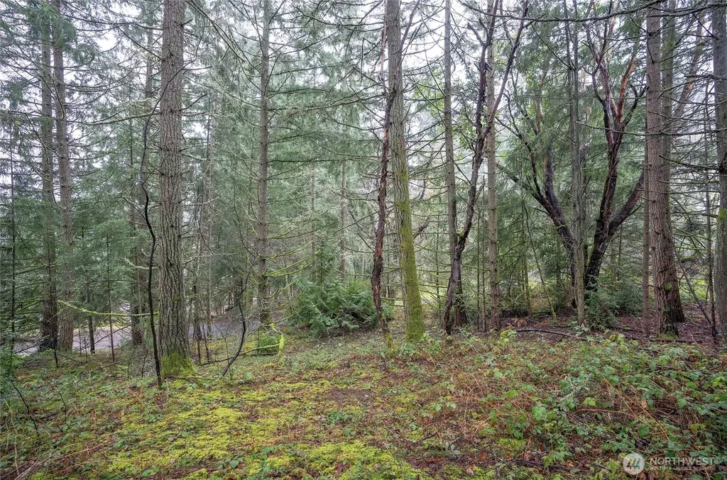 9806 Sari Lane Gig Harbor WA 98332