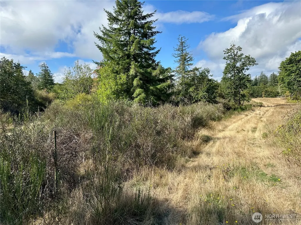0 Dannie Womer Lane Oakville WA 98568
