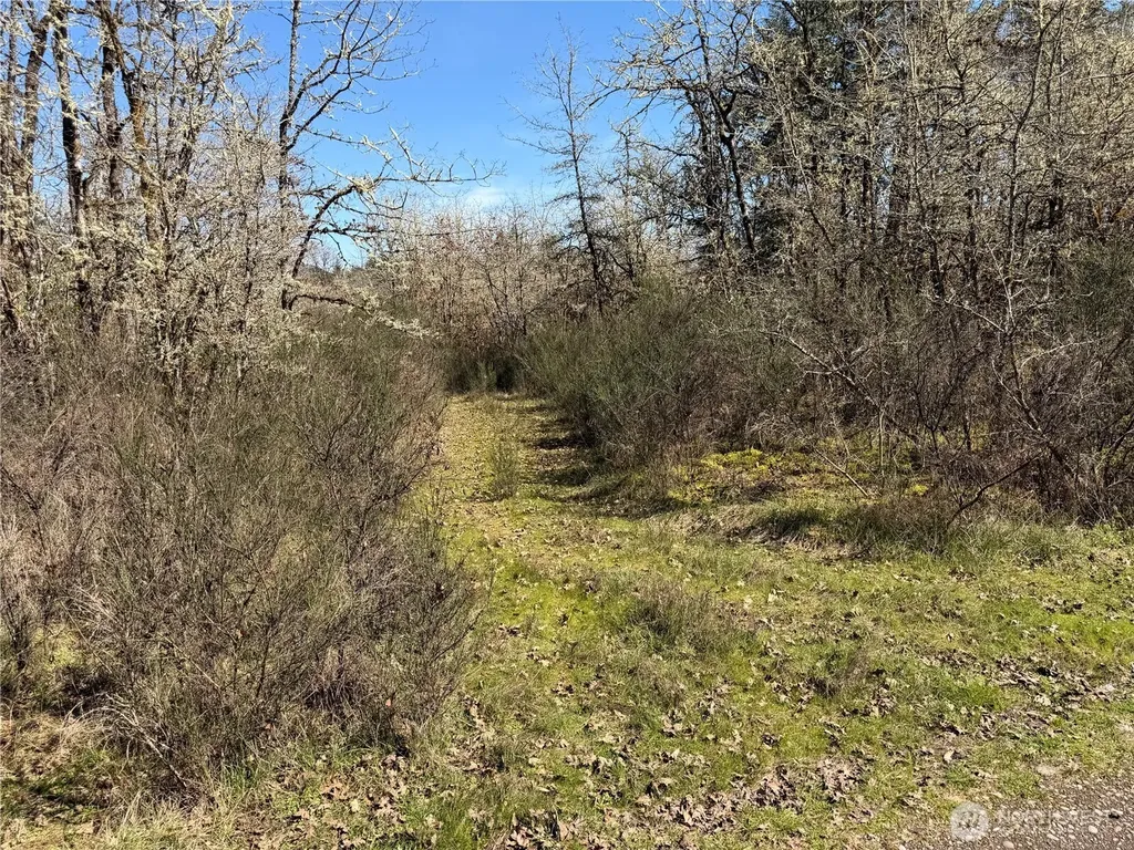 0 Dannie Womer Lane Oakville WA 98568