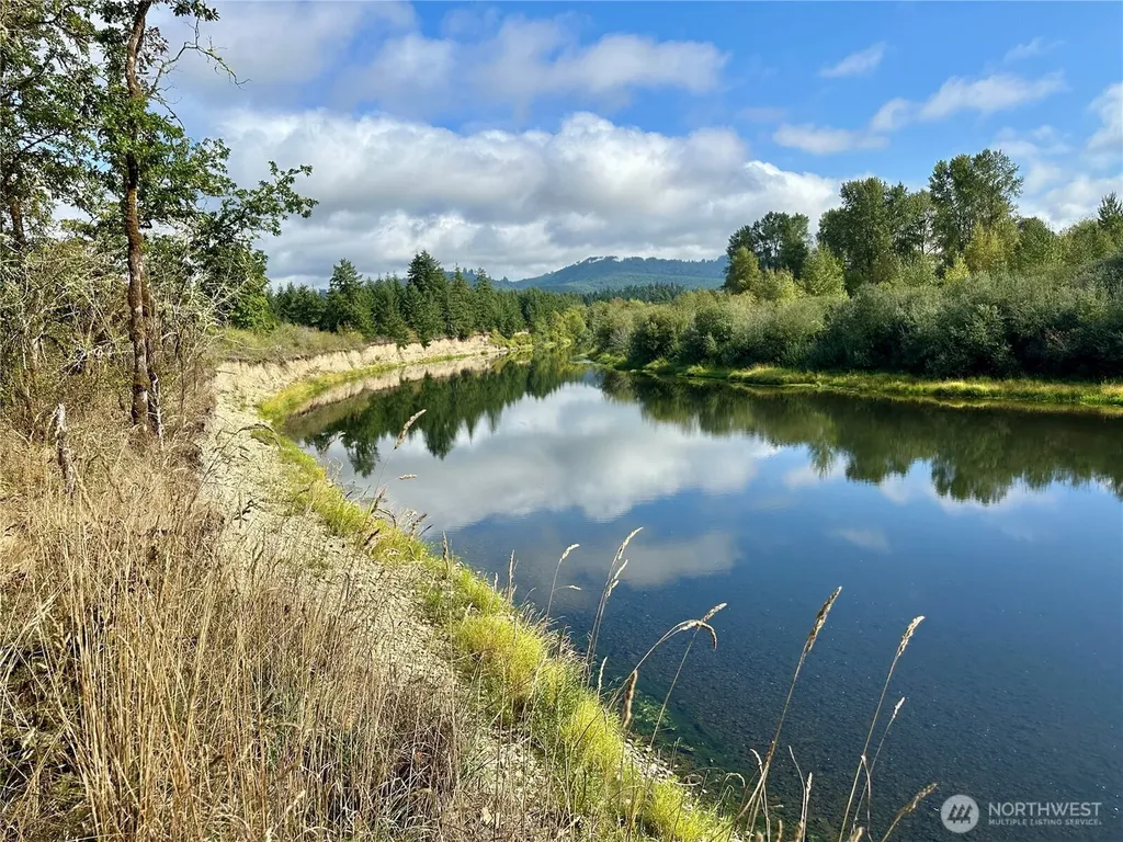 0 Dannie Womer Lane Oakville WA 98568