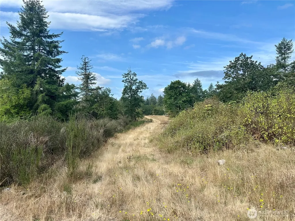 0 Dannie Womer Lane Oakville WA 98568