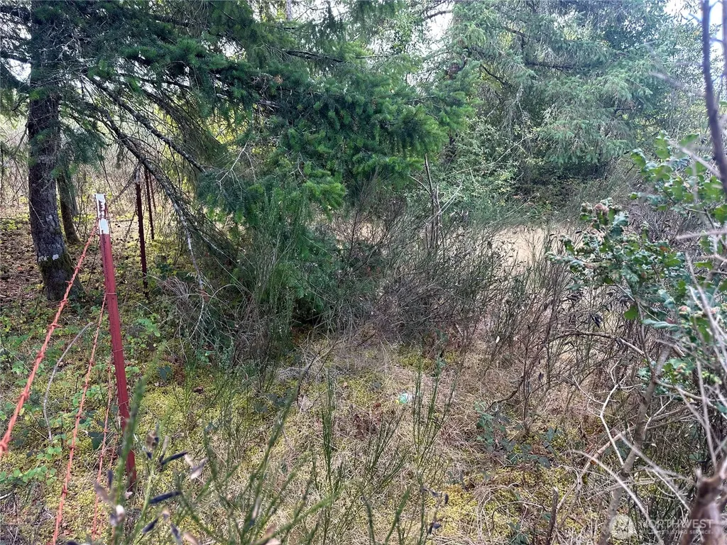 0 Dannie Womer Lane Oakville WA 98568
