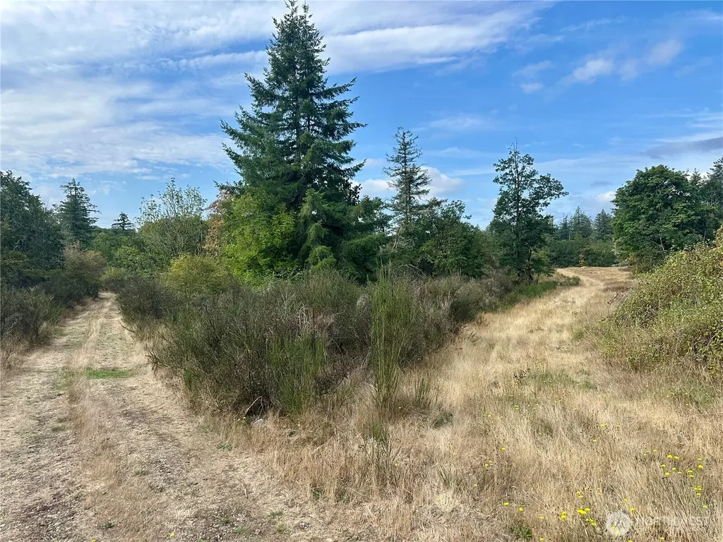 0 Dannie Womer Lane Oakville WA 98568