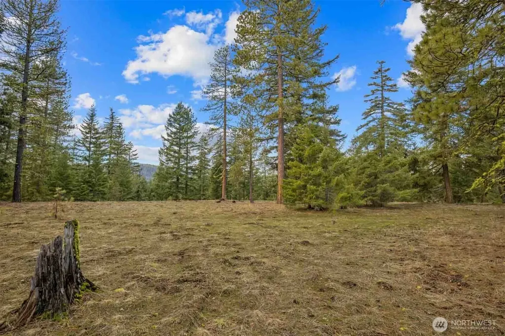 20 Wanawish Loop Cle Elum WA 98922
