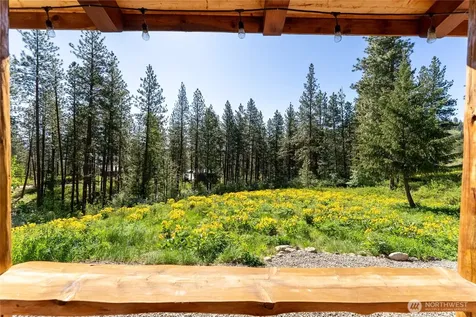 23 Whitebark Lane Winthrop WA 98862