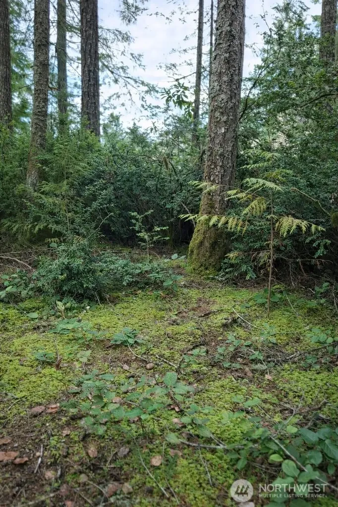 2495 Christopher Road NW Seabeck WA 98380