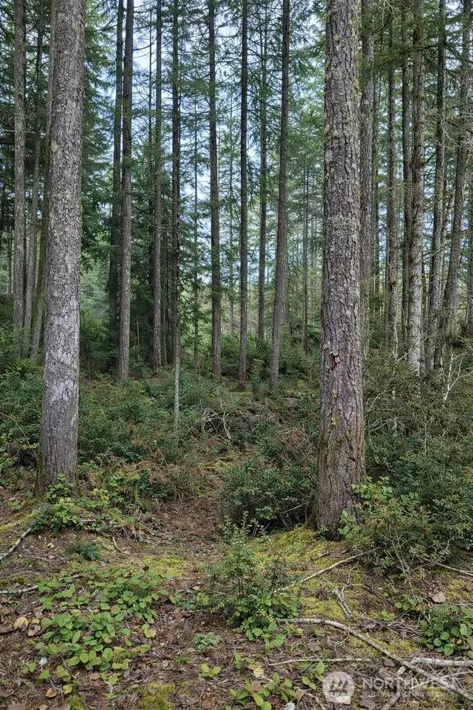 2495 Christopher Road NW Seabeck WA 98380