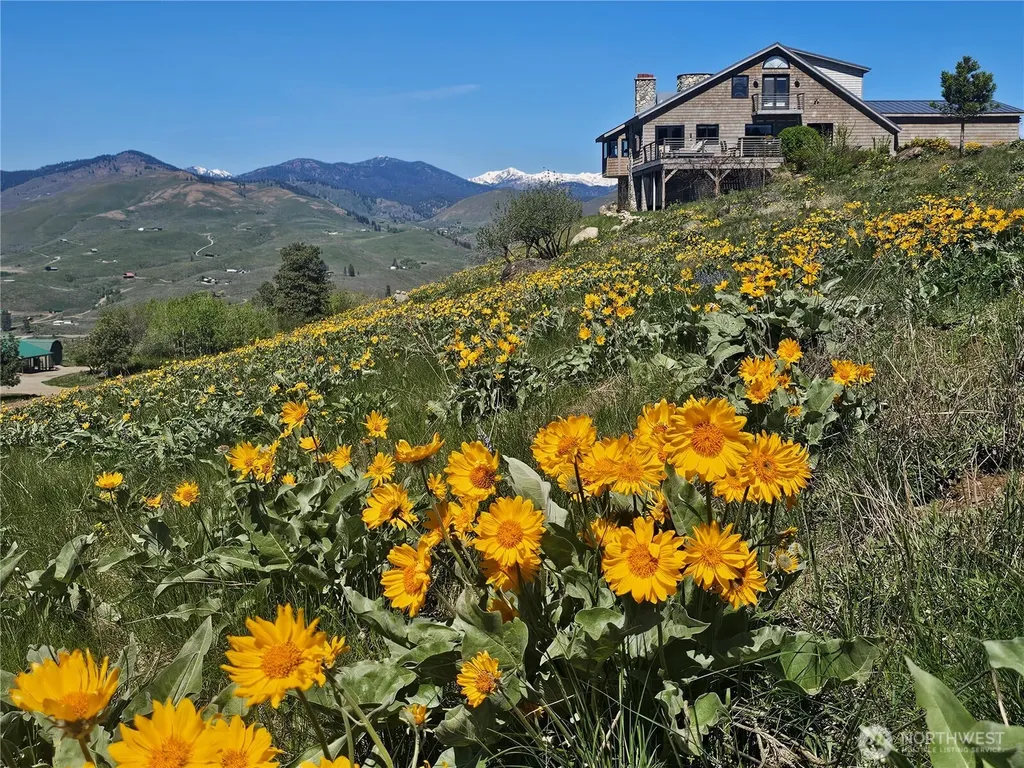 8 Deer Trails Way Winthrop WA 98862