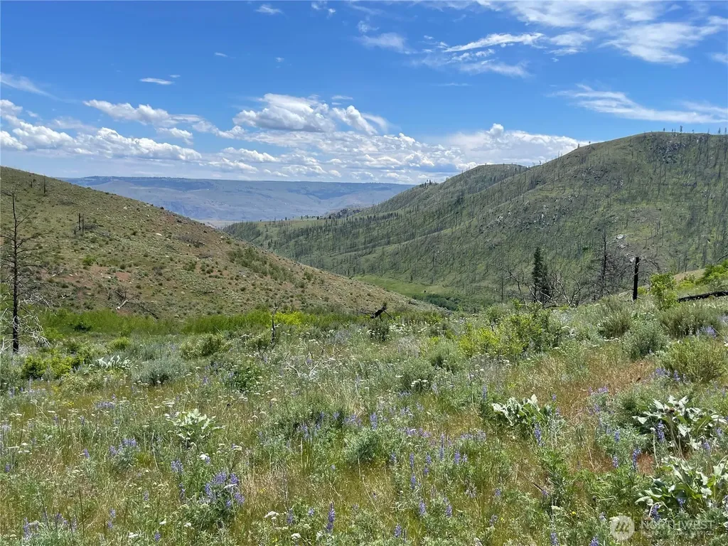 436 Antoine Creek Road Chelan WA 98816
