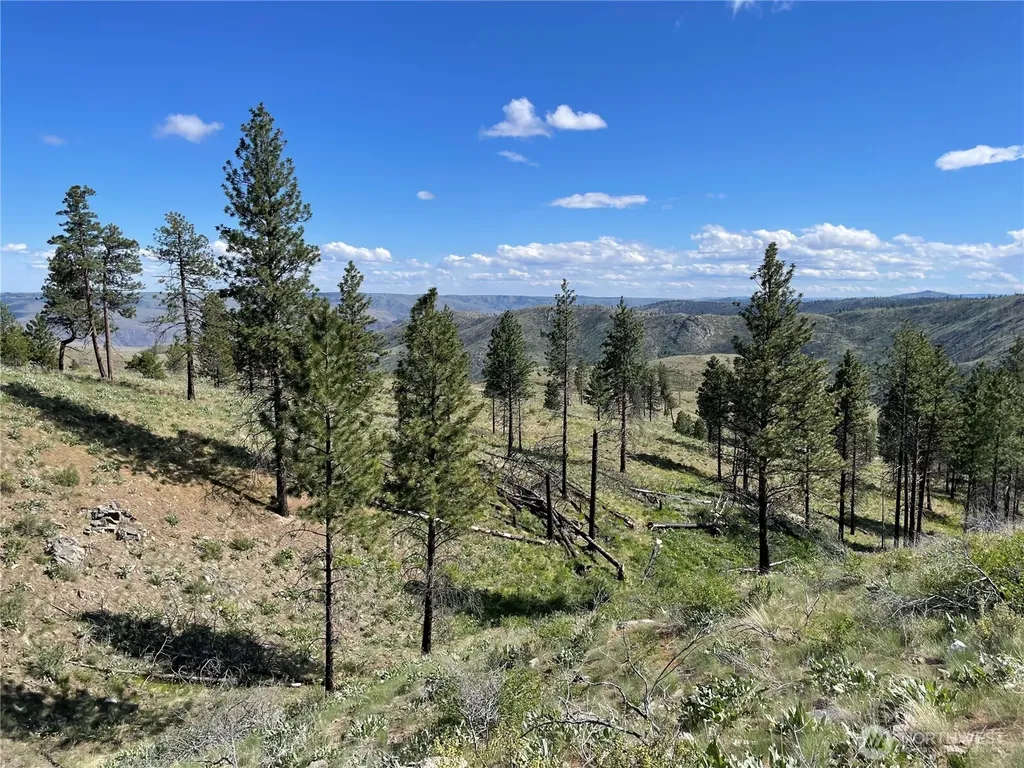 436 Antoine Creek Road Chelan WA 98816