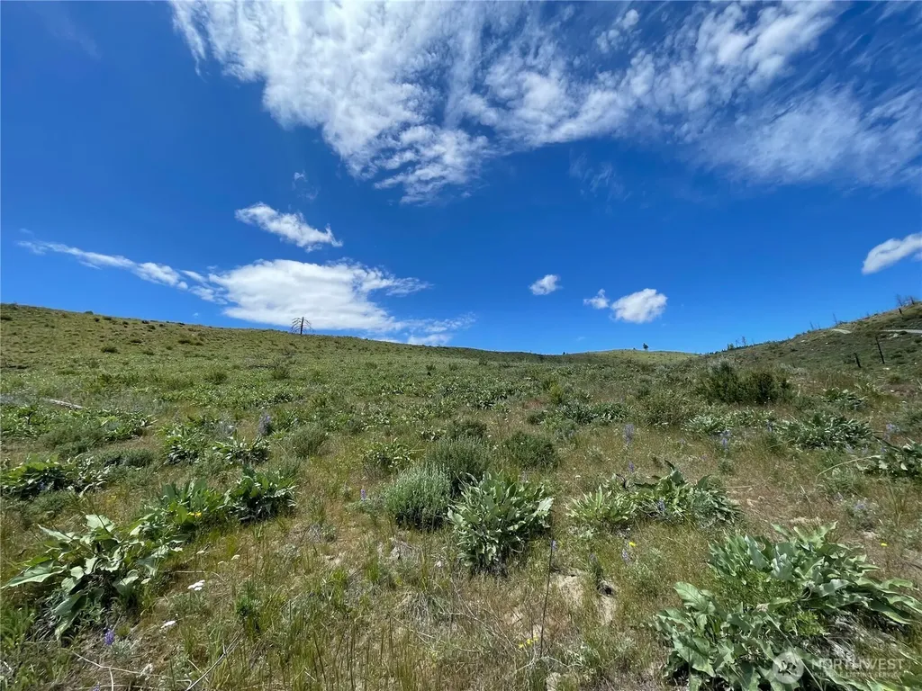 436 Antoine Creek Road Chelan WA 98816