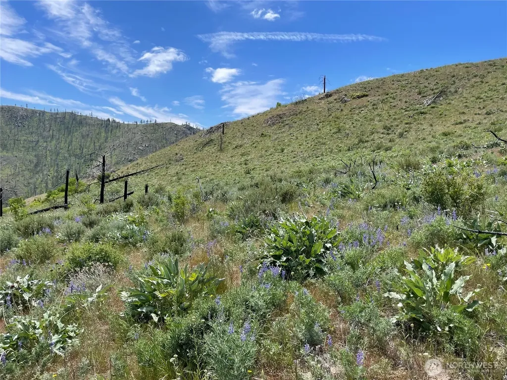 436 Antoine Creek Road Chelan WA 98816