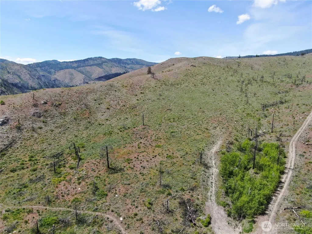 436 Antoine Creek Road Chelan WA 98816