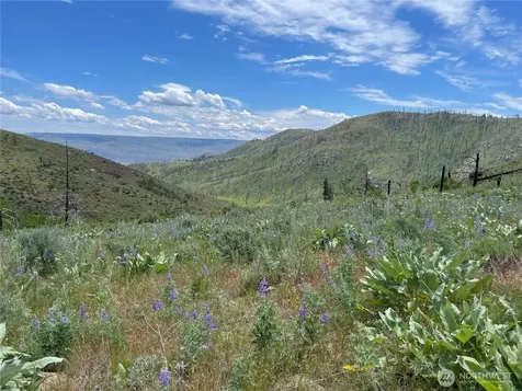 436 Antoine Creek Road Chelan WA 98816