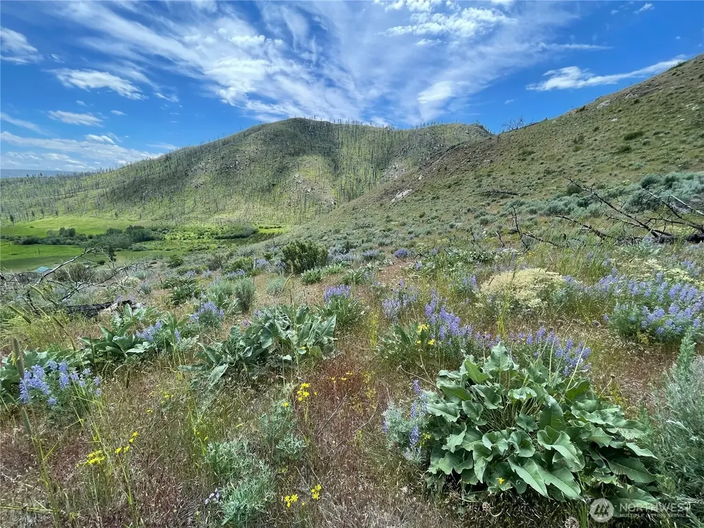 436 Antoine Creek Road Chelan WA 98816