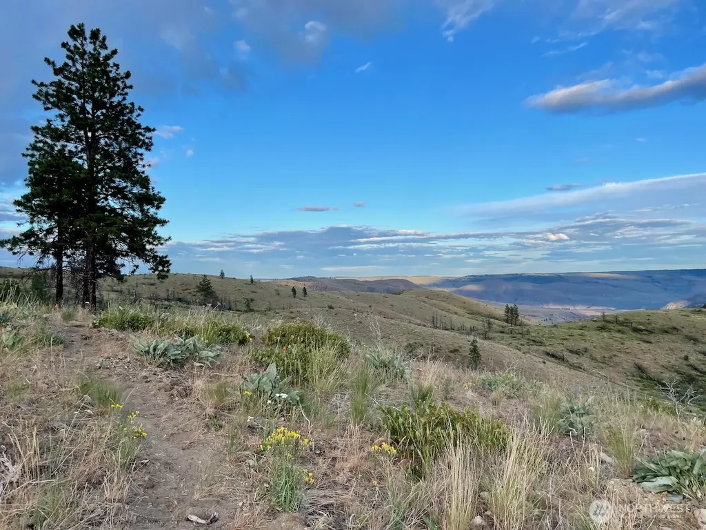 436 Antoine Creek Road Chelan WA 98816