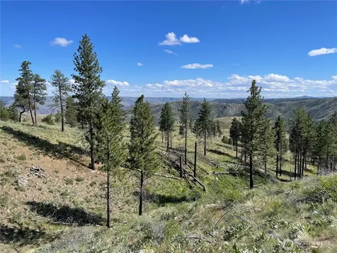 436 Antoine Creek Road Chelan WA 98816