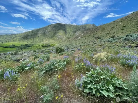 436 Antoine Creek Road Chelan WA 98816