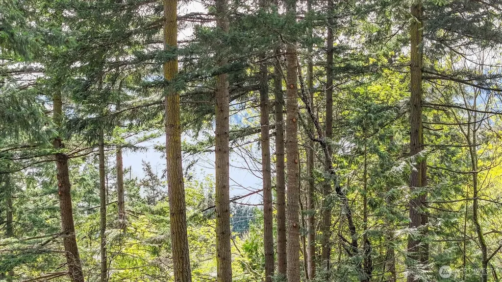 0 Campbell Lake Road Anacortes WA 98221