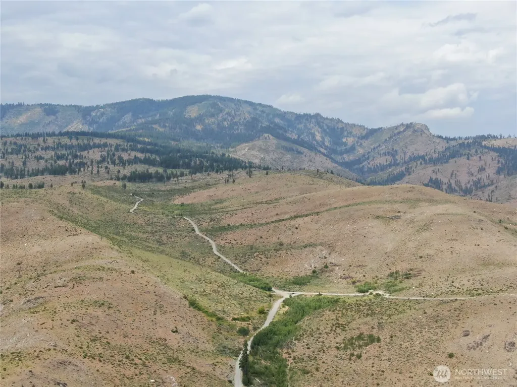 0 Antoine Creek Road Chelan WA 98816
