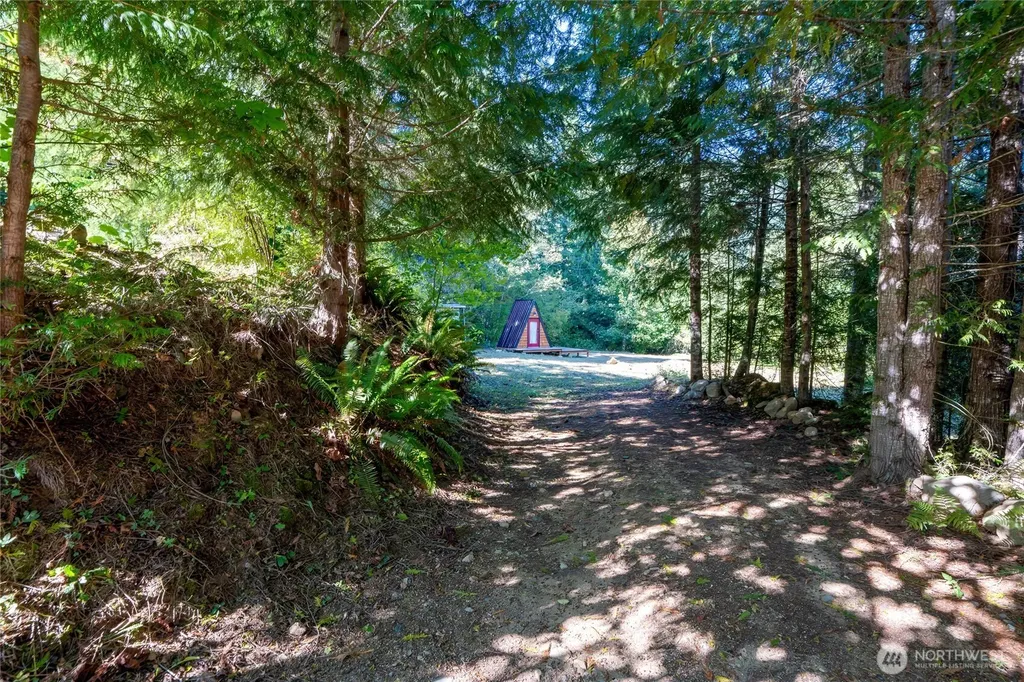 31729 558th St E Ashford WA 98304