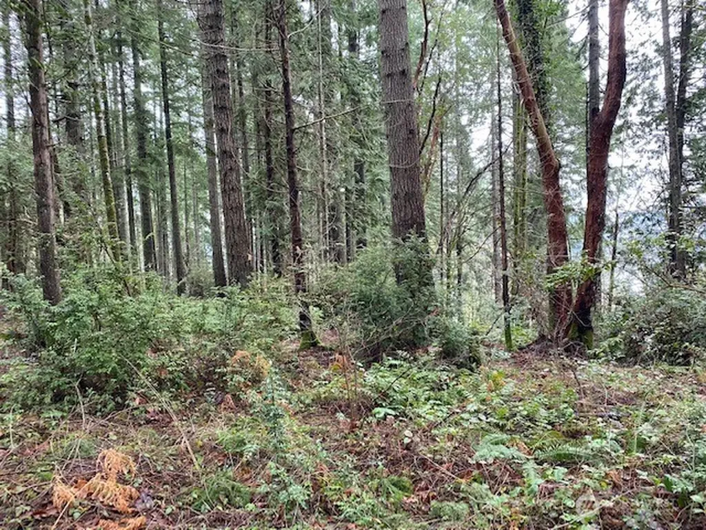0 Elk Street Shelton WA 98584