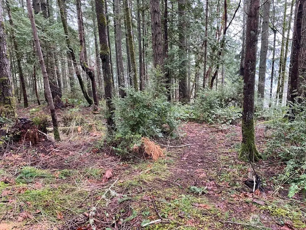 0 Bear Street Shelton WA 98584