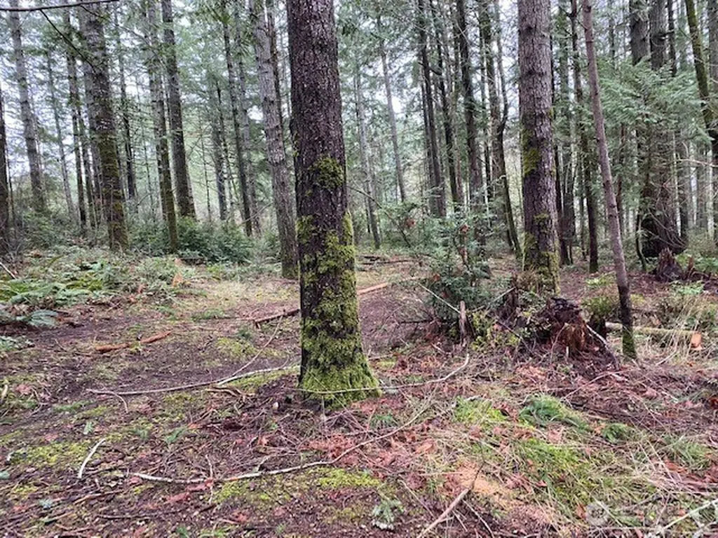 0 Bear Street Shelton WA 98584