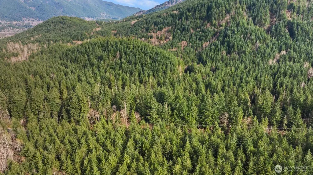 0 Cumberland Kanaskat Road SE Ravensdale WA 98051