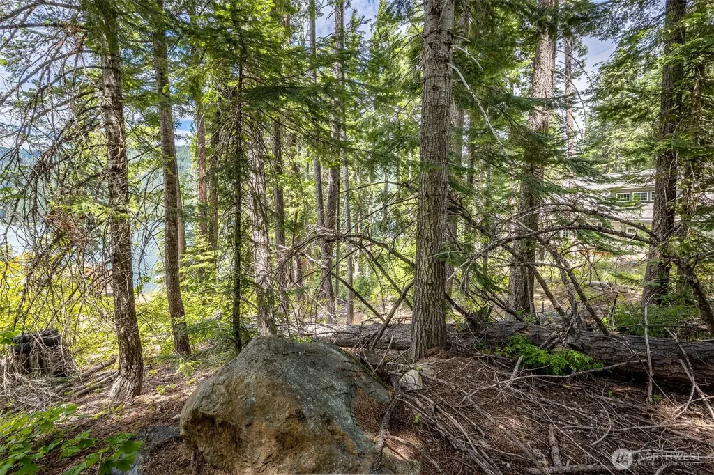 22660 Alpine Drive Leavenworth WA 98826