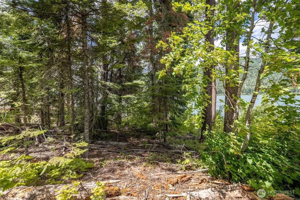 22660 Alpine Drive Leavenworth WA 98826