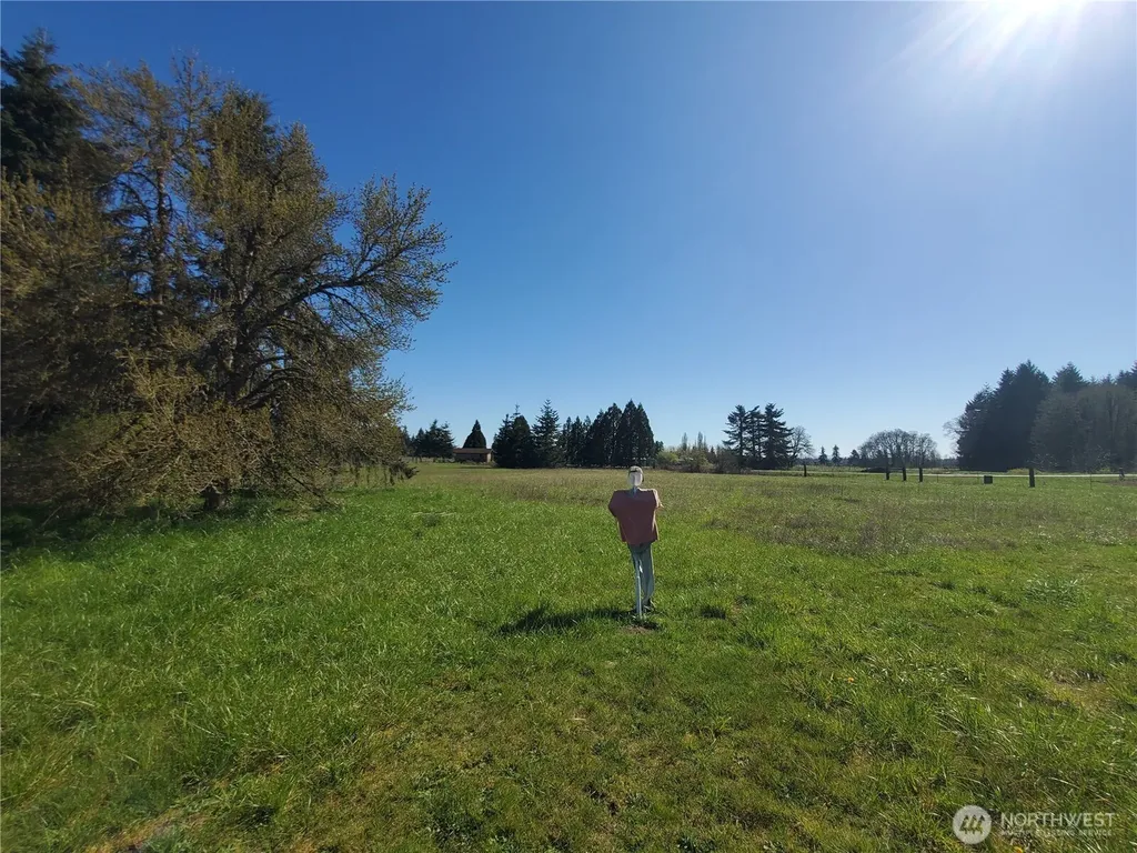 4924 165th Lane SW Rochester WA 98579