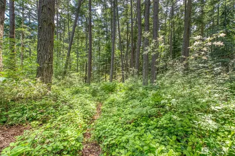 31 Colgan Creek Road Orcas Island WA 98245