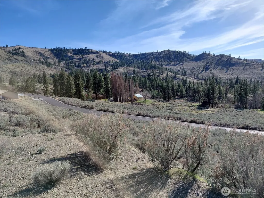 34 Corral Creek Drive Orondo WA 98843