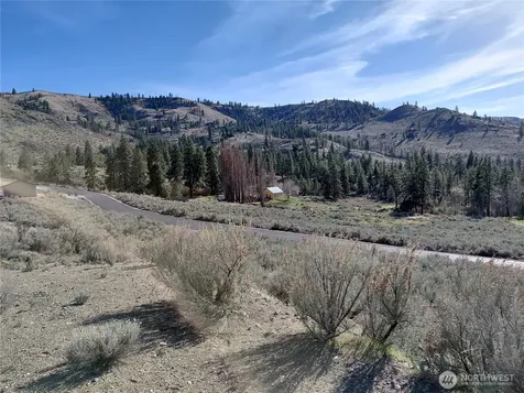 34 Corral Creek Drive Orondo WA 98843