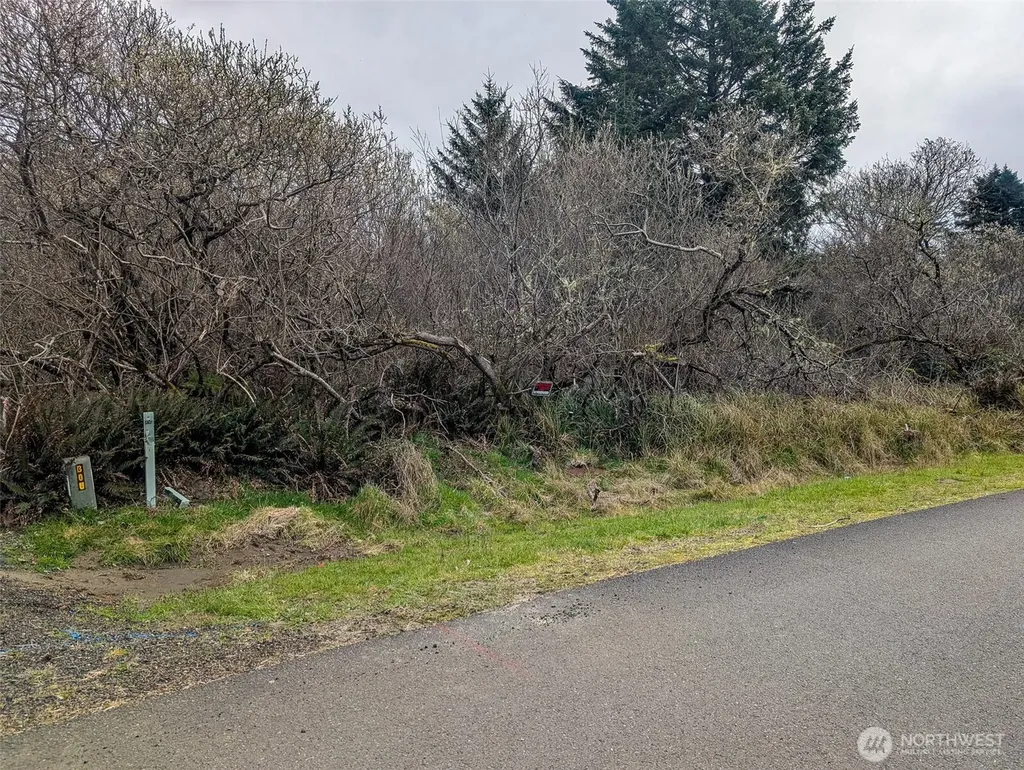 572 Puffin Avenue NE Ocean Shores WA 98569