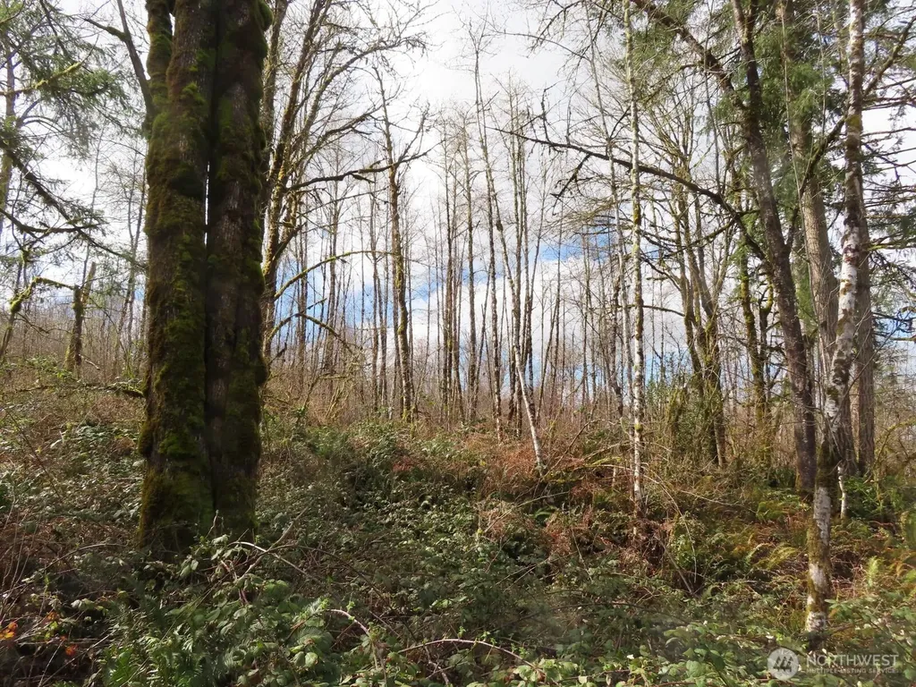 125 Oppelt Road Chehalis WA 98532