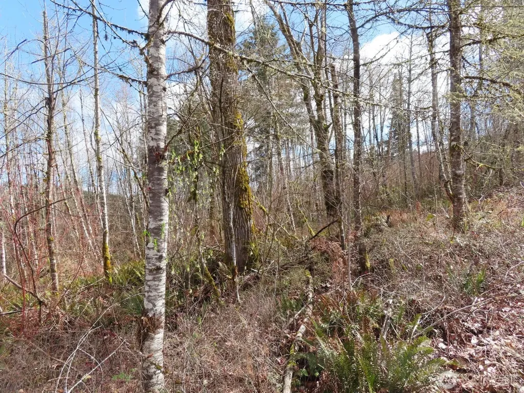 125 Oppelt Road Chehalis WA 98532