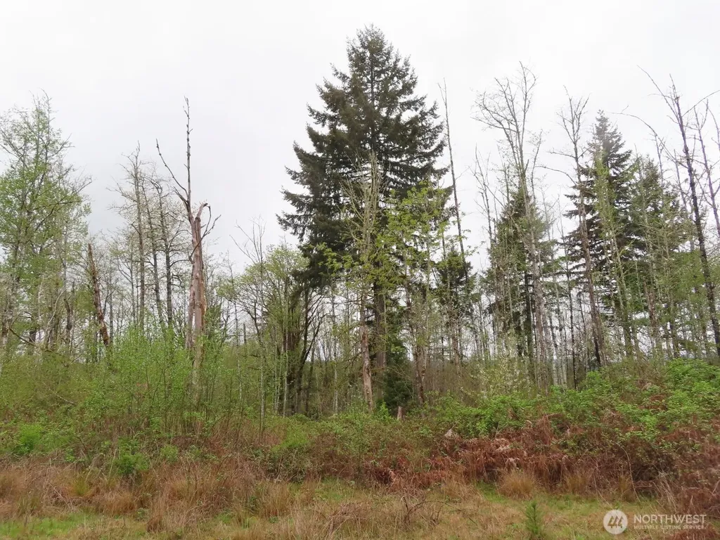 125 Oppelt Road Chehalis WA 98532
