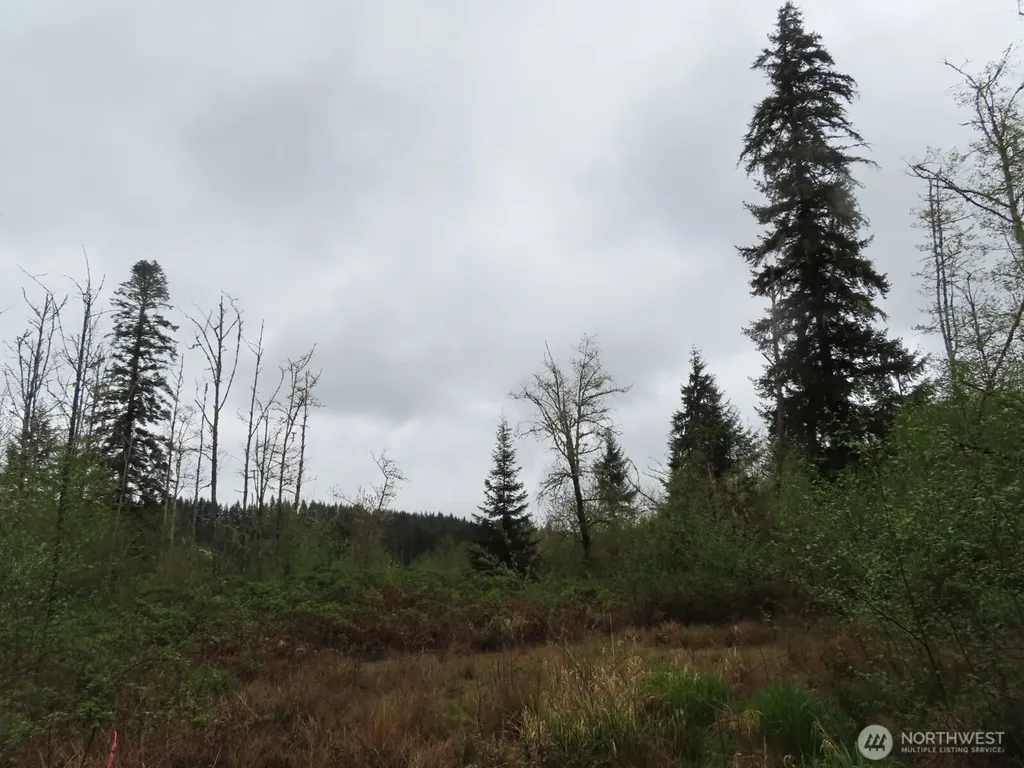 125 Oppelt Road Chehalis WA 98532